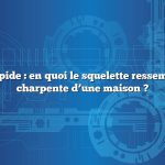 Réponse rapide : en quoi le squelette ressemble-t-il à la charpente d’une maison ?